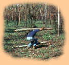 Ein langer Weg zur&uuml;ck zum Gel&auml;ndewagen