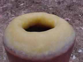 didgeridoo mouthpiece - rounded inside edge